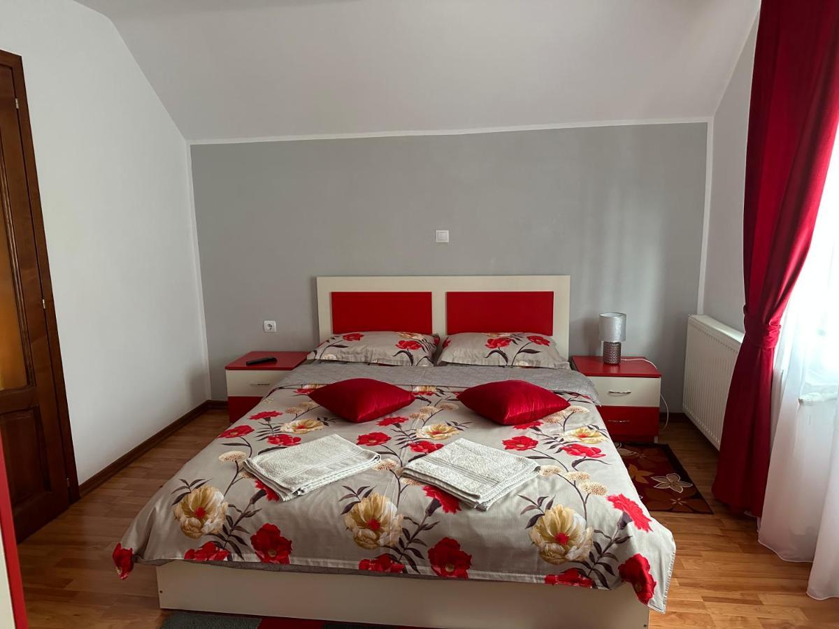 Casa Ika&Matei Villa Borsa  Ngoại thất bức ảnh
