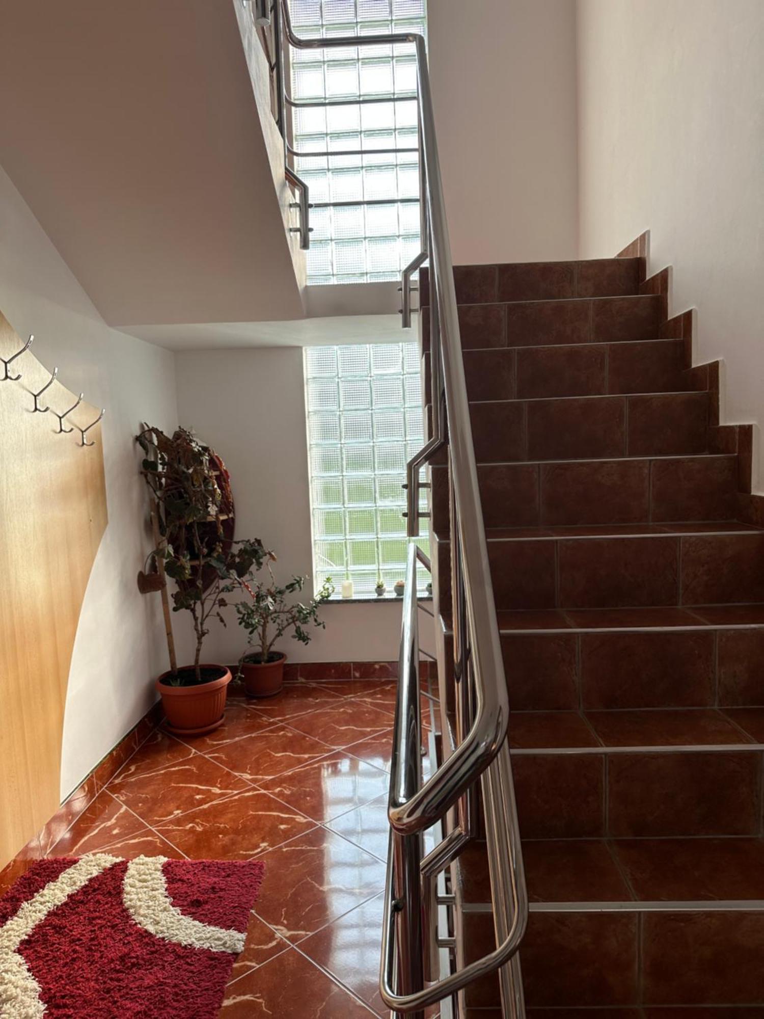 Casa Ika&Matei Villa Borsa  Ngoại thất bức ảnh