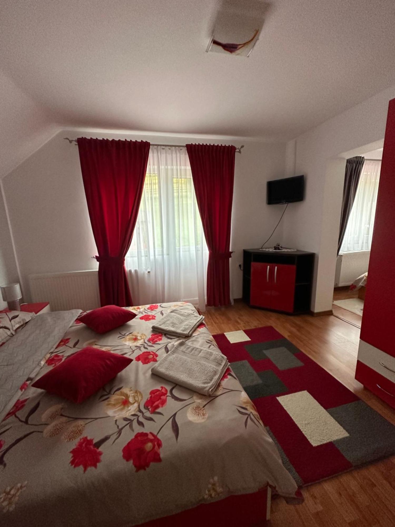 Casa Ika&Matei Villa Borsa  Ngoại thất bức ảnh